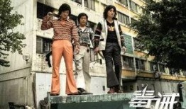 毒戒电影在线观看,在线观影，揭秘毒品陷阱